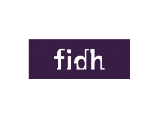 Logo The International Federation For Human Rights (FIDH)