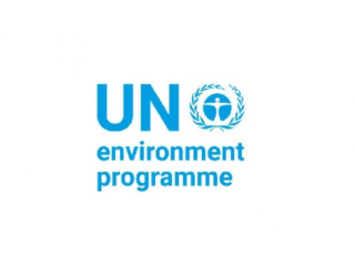 The United Nations Environment Programme (UNEP)