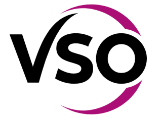 Logo VSO International