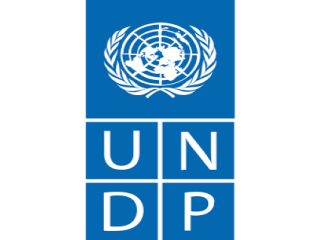 Policy Specialist - Women's Political Participation