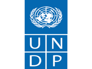 UNDP